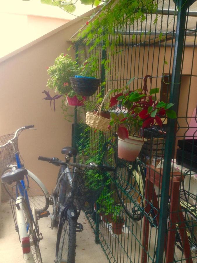 Apartment Dunja Djenovici Herceg Novi Exterior foto