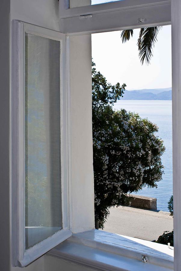 Apartment Dunja Djenovici Herceg Novi Exterior foto